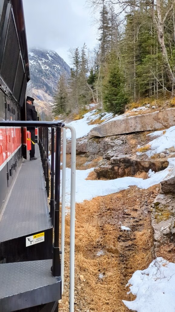 A person stands on the platform at the rear of a train, watching snowy mountains and evergreen trees—an experience reminiscent of Alaska cruise views from Holland America’s Koningsdam.