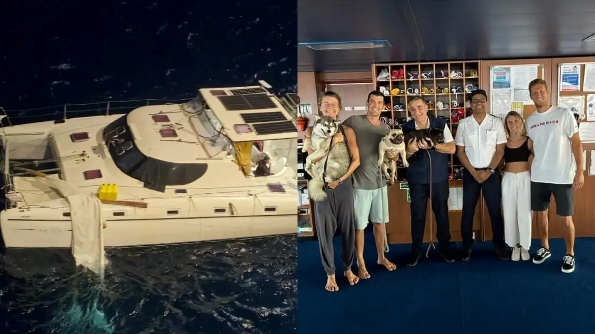 A split image shows a stranded catamaran with solar panels and yellow containers on the ocean, while on the right, people and dogs rescued from the vessel stand inside a cruise ship.