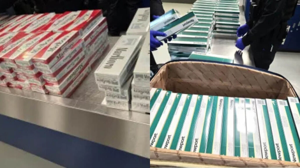 Stacks of Marlboro and Newport contraband cigarettes are arranged on a counter, with a person wearing dark clothing and blue gloves standing nearby. A basket filled with Newport cartons sits in the foreground after a recent CBP seizure.