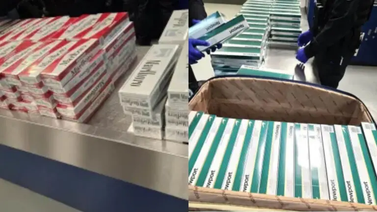 Stacks of Marlboro and Newport contraband cigarettes are arranged on a counter, with a person wearing dark clothing and blue gloves standing nearby. A basket filled with Newport cartons sits in the foreground after a recent CBP seizure.