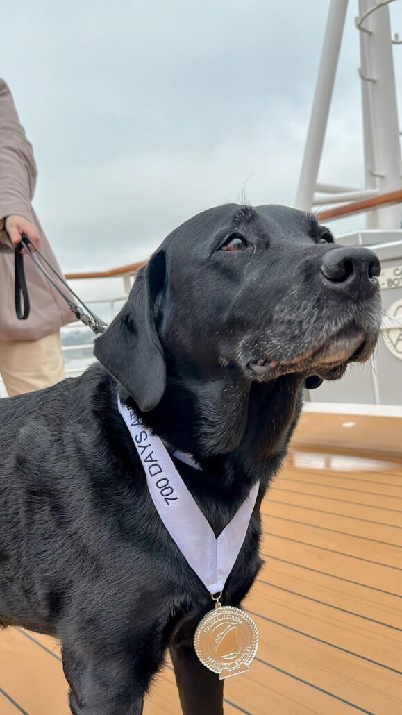 A black Labrador service dog wearing a "200 DAYS AT SEA" medal on a ribbon stands on the deck of a Holland America ship, held by a person partially visible in the background, celebrated by fellow cruise guests.