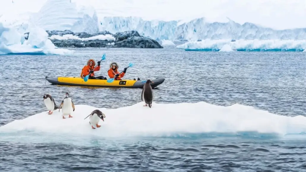 Two people in orange jackets paddle a yellow kayak through icy waters on an Antarctica Expedition Cruise, passing a floating iceberg where four penguins stand. Snow-covered mountains and more icebergs rise in the distance.
