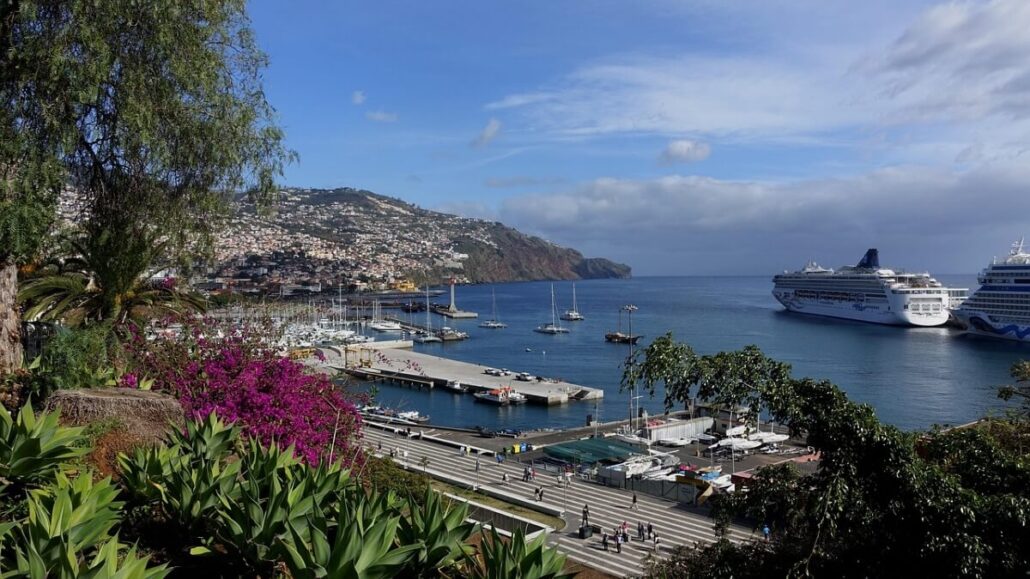 A coastal scene with a marina and several cruise ships docked, set against a city on hilly terrain. Lush green plants and vibrant purple flowers in the foreground add relaxing vibes beneath a partly cloudy sky.