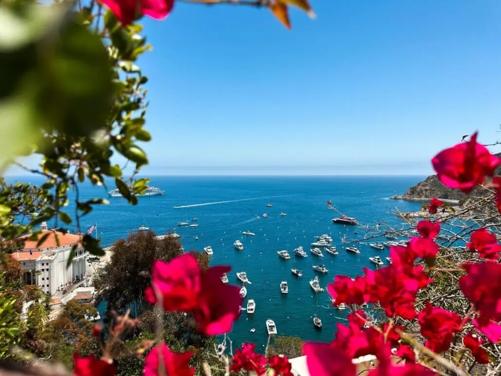 A view of a harbor with numerous boats on blue water, framed by red flowers in the foreground. A building with a red roof sits to the left, while Villa Vie Residences promise lifetime living at sea under a clear blue sky and scenic hills.