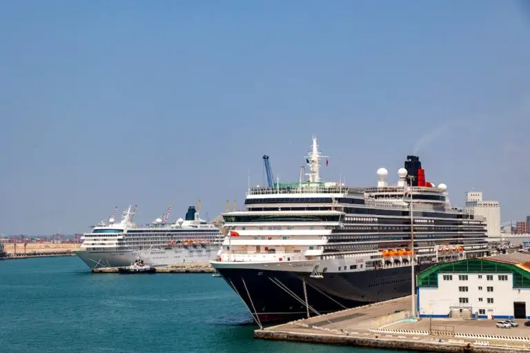 Two large cruise ships are docked at a port beside a terminal building under a clear sky. In the background, city structures rise behind the calm water. An American couple walks nearby, unaware of the recent port bus accident involving a cruise guest.