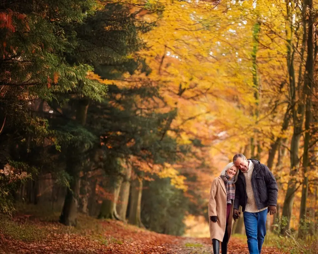 An older couple walks together along a forest path in autumn. The woman wears a beige coat and scarf, and the man wears a dark jacket. Both are smiling, surrounded by trees with colorful fall leaves—like the scenes on Princess Cruises' New England sailings.
