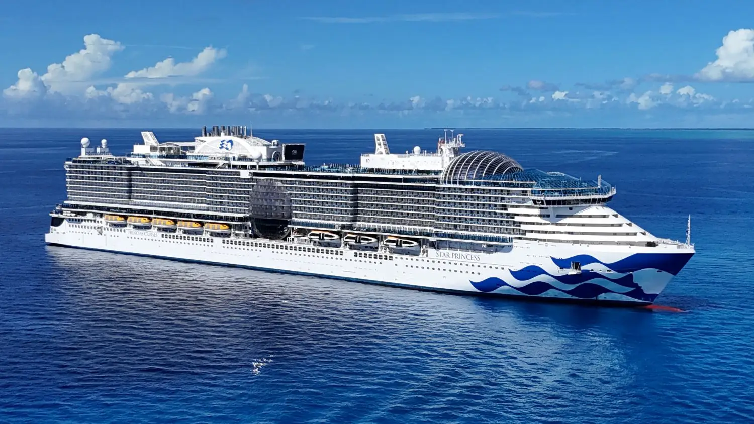 A large white and blue Princess Cruises ship sails on calm, clear blue ocean water under a bright sky with scattered clouds. Multiple decks and rows of balconies promise stunning views on unforgettable Caribbean sailings.