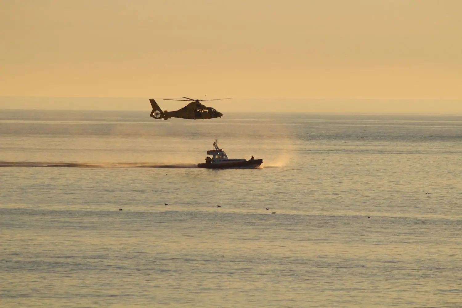 A helicopter hovers low above the Atlantic near a small boat, creating ripples and mist on the water under a golden sky during a search for a man overboard. Several birds float in the water nearby.