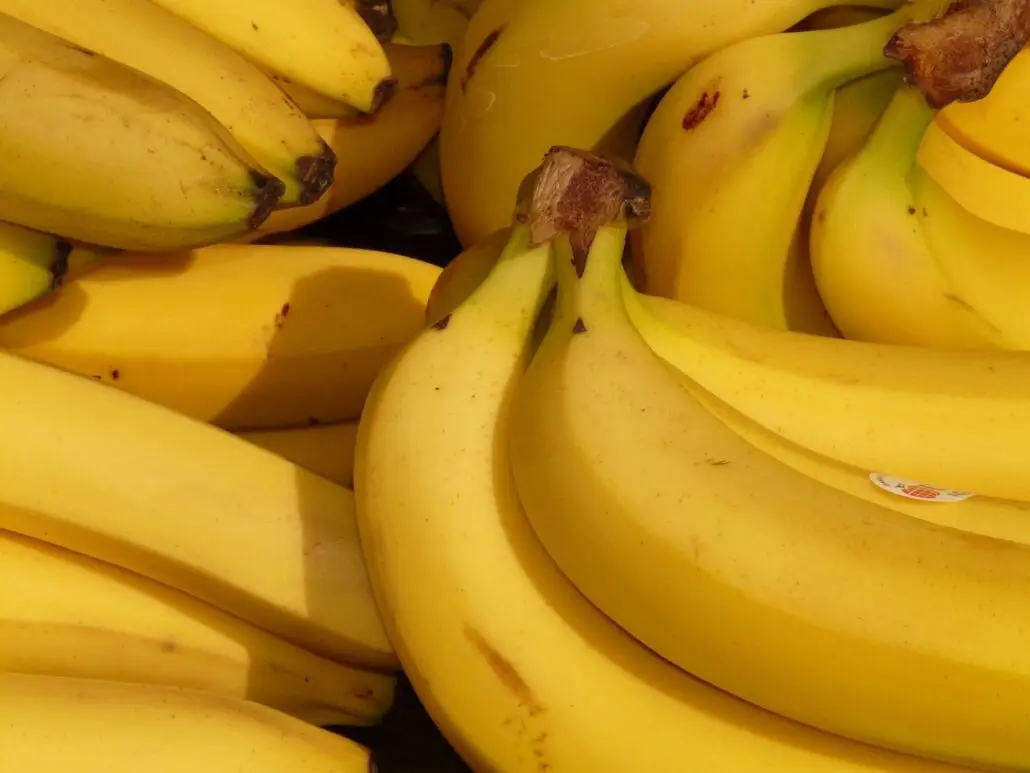 A close-up view of several bunches of ripe yellow bananas, some with brown stems and a sticker on one of the bananas. Fresh from fruit containers, the bananas are piled together, filling the entire frame.