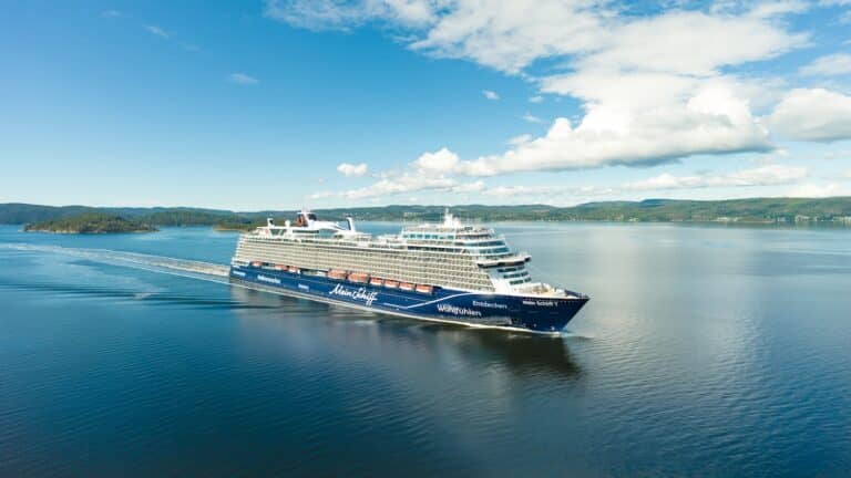 A large blue and white cruise ship sails through calm water with a wake behind it, surrounded by green land and hills under a partly cloudy sky, evoking memories of stories like the cruise ship fall involving a small child.