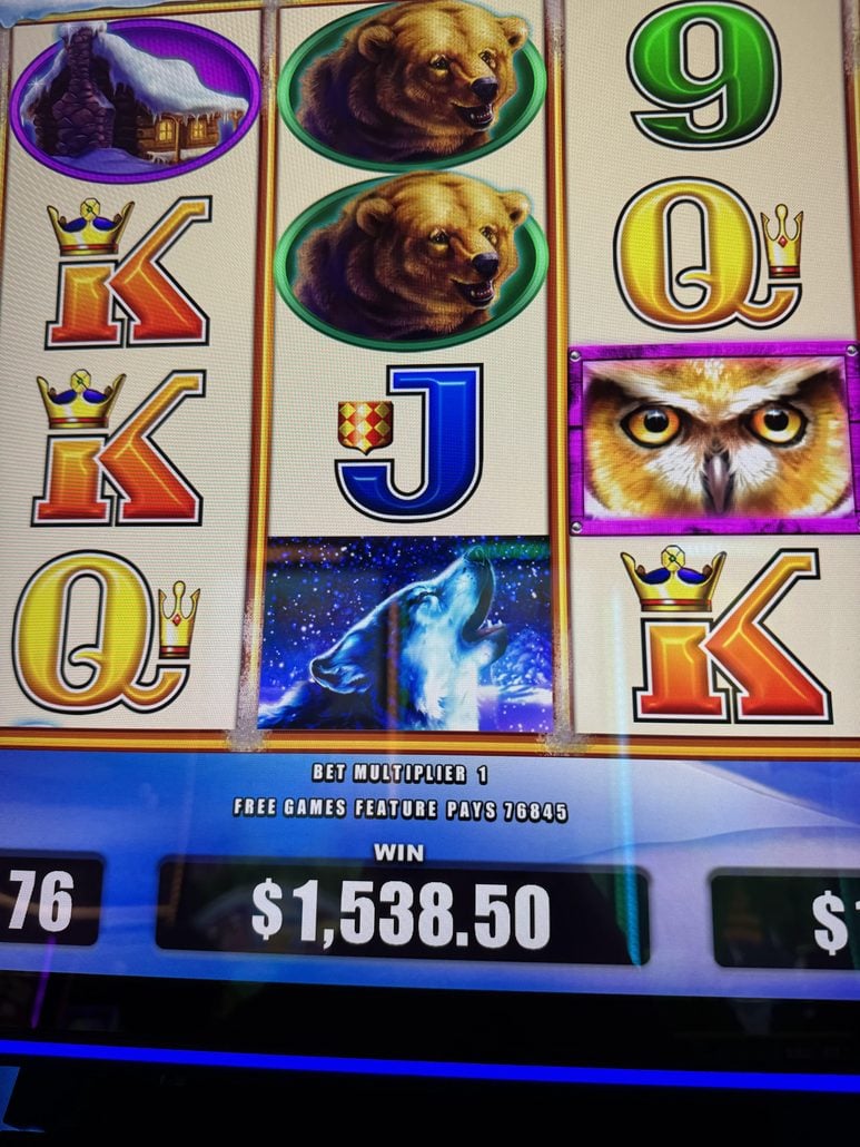 Slot machine screen displaying reels with animals and letters. Winning line shows $1,538.50 at the bottom, with a blue howling wolf image, and “Free Games Feature Pays 76845” above the win amount.