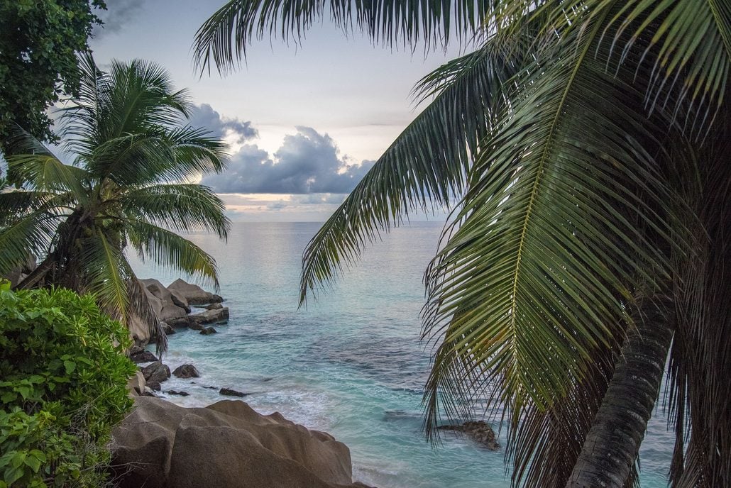 Palm trees frame a view of calm, clear ocean water with large rocks along the shoreline under a cloudy sky at sunset, evoking the tranquil beauty of the Seychelles.