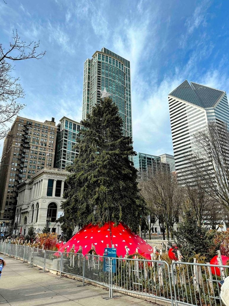 A large Christmas tree with lights and a star topper stands in a Chicago Loop park, enclosed by a red base and metal fencing against a backdrop of city skyscrapers.